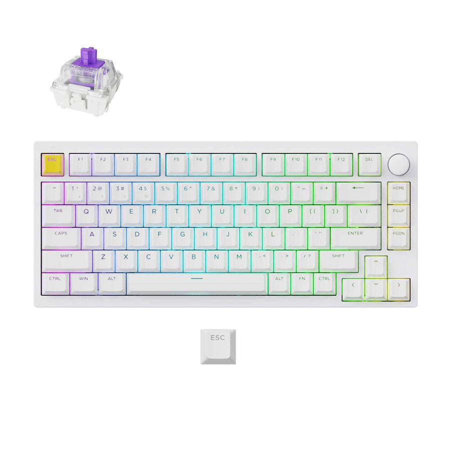 Lemokey Lemokey P1 HE Wireless Magnetic Switch Custom Gaming Keyboard,